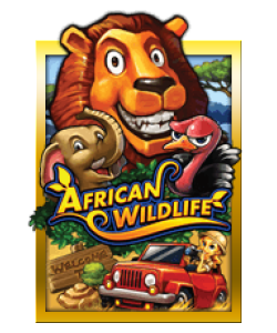 African Wildlife