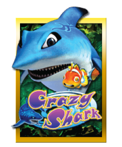 Crazy Shark