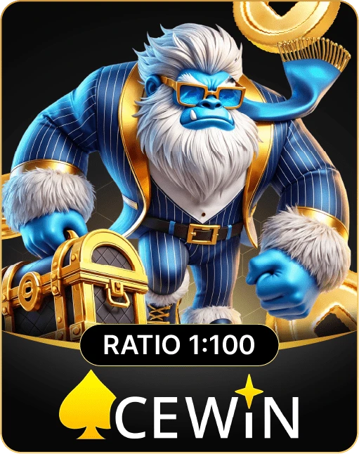 Acewin provider logo